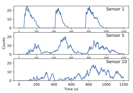 Counts of people passing each sensor become more variable further down the corridor as the agents spread out..