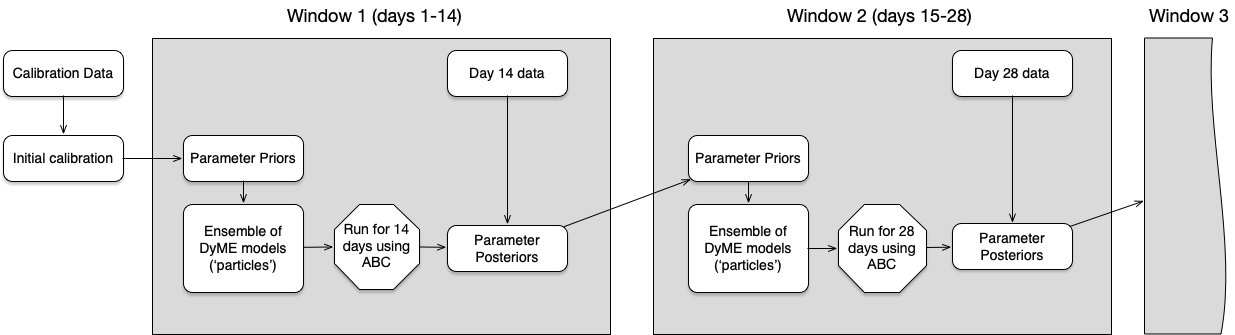 Bayesian updating of the DyME model. The parameter posteriors from one window are
                              used as priors in the next window