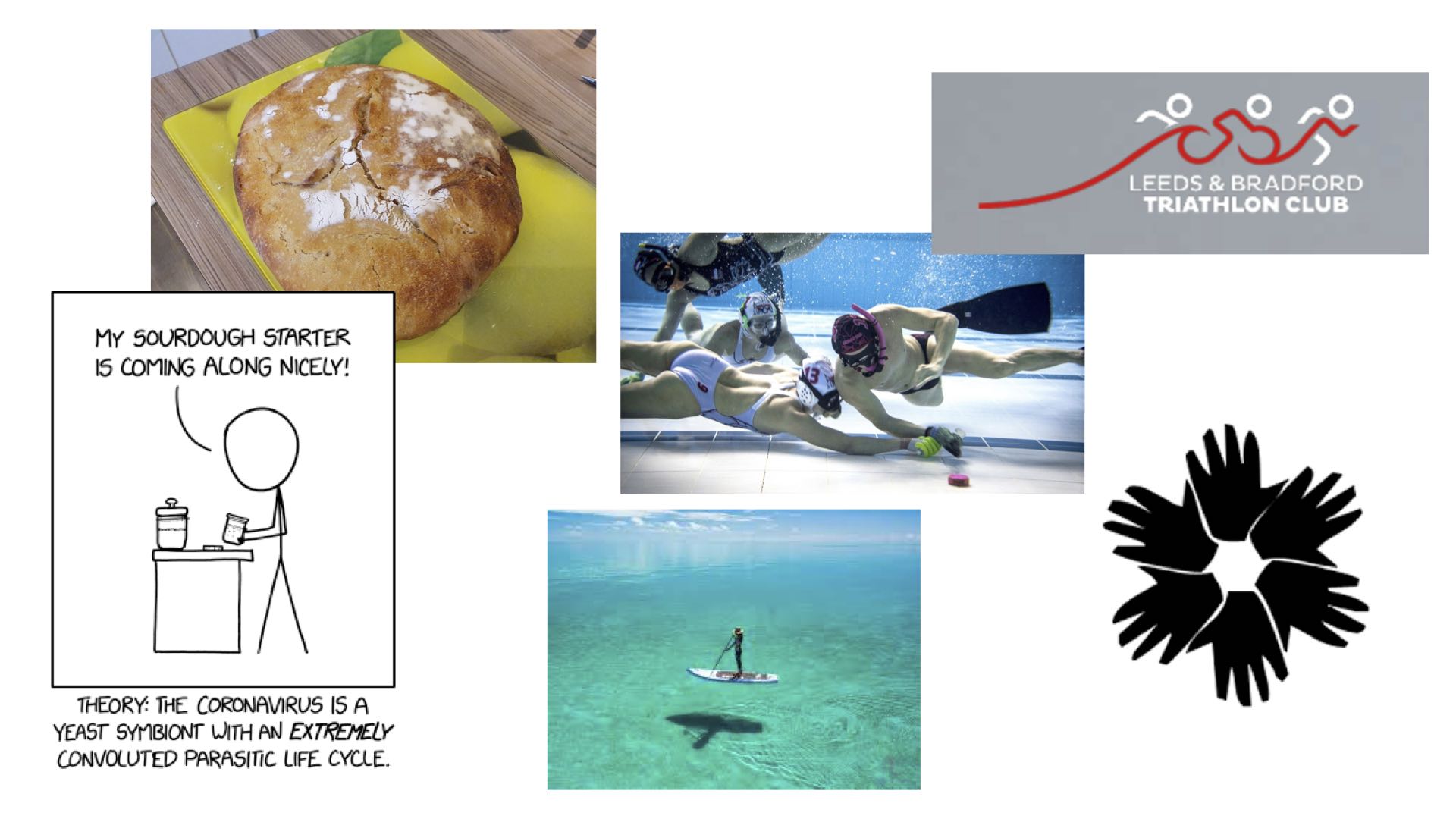 Pictures of activities that Alison and Nick have been doing